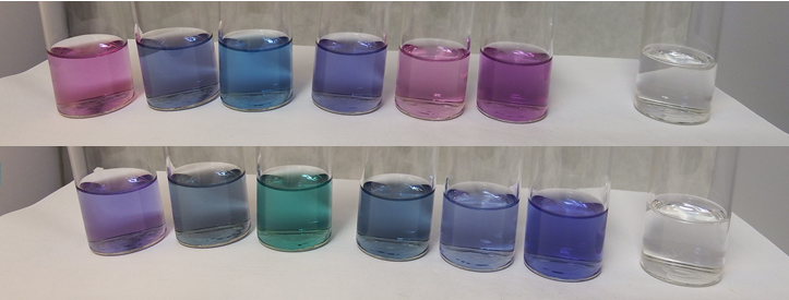 Farbspiel der Anthocyane der Clitoria ternatea in Gin und Wodka. Dargestellt werden im oberen Bildabschnitt unterschiedliche Gins (v.l.n.r. Gläser Nr. 1-3, 5 und 6) und ein Wodka (Glas Nr. 4), welche mit Clitoria ternatea hergestellt wurden und ein Farbspektrum von grün, blau und lila zeigen. Im unteren Bildabschnitt sind die gleichen Gin- und Wodka-Proben mit Säure versetzt, was zu veränderten Farben im Bereich blau, lila und rosa führt. Das Glas ganz rechts enthält zum Vergleich einen farblosen Gin, welcher keine Farbänderung zeigt.